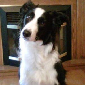 Meet your Posher, Kelsey